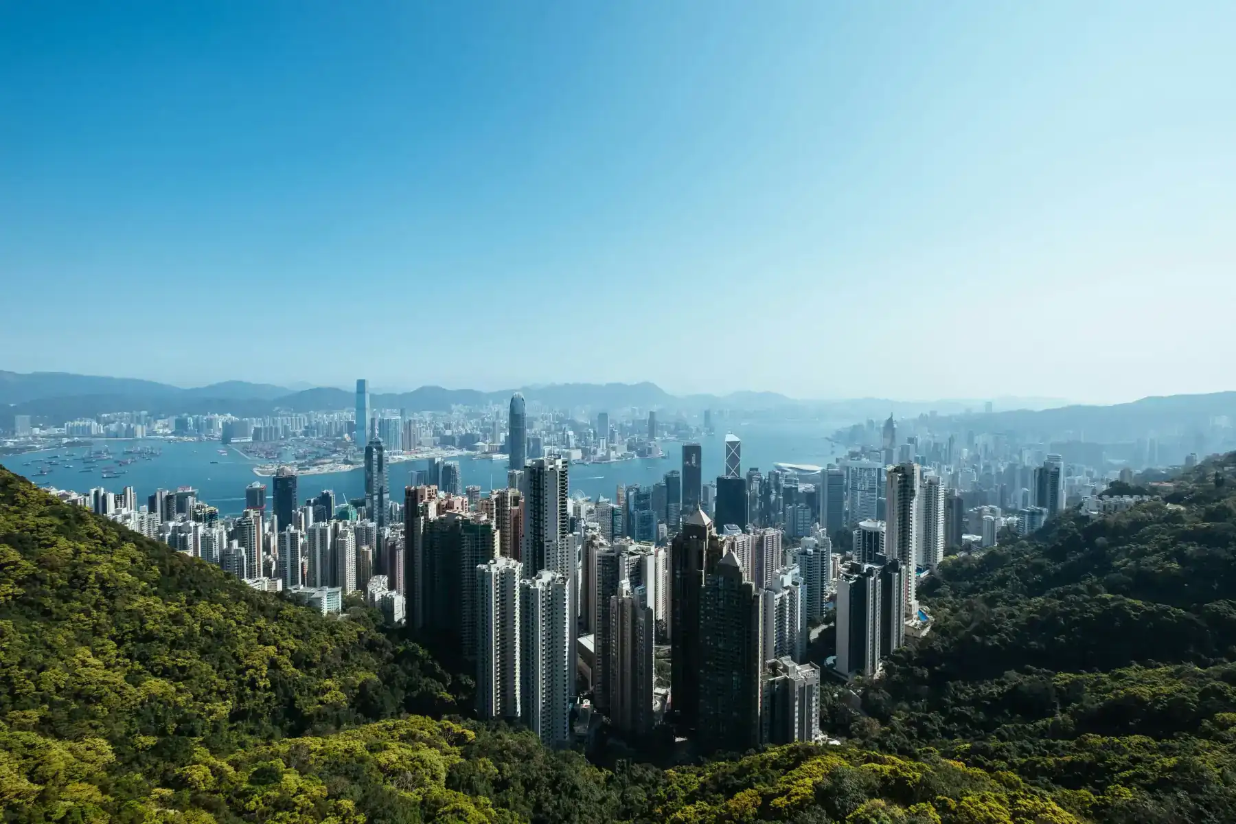 Hong Kong skyline and office buildings